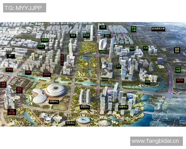 深入解析杭州网球队的实力表现与未来发展潜力