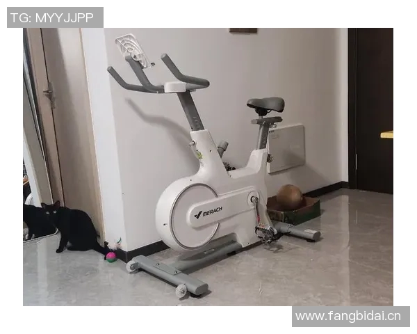 站立式跑步健身器材是否适合居家锻炼 真实体验告诉你答案